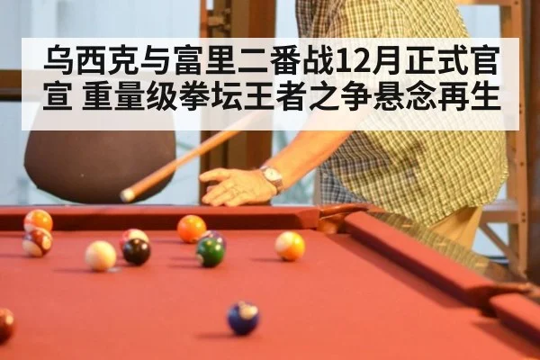 乌西克与富里二番战12月正式官宣 重量级拳坛王者之争悬念再生